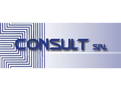 LogoConsult