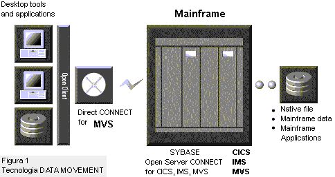 consul2