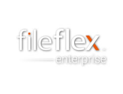 logo Fileflex